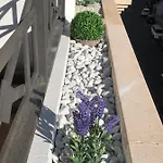 Bay Terraza24 アパート カルプ